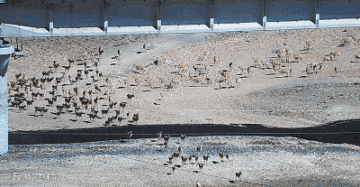 15632631539814253059.png image.png